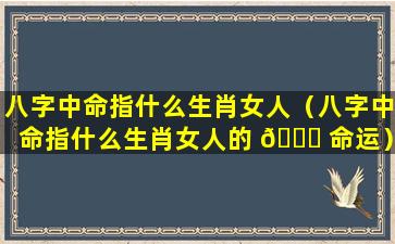 八字中命指什么生肖女人（八字中命指什么生肖女人的 🐋 命运）